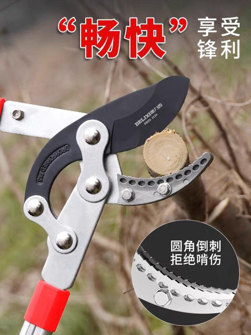 德力西园林剪枝剪树枝修剪园艺果树修枝粗枝剪刀大力剪大剪子