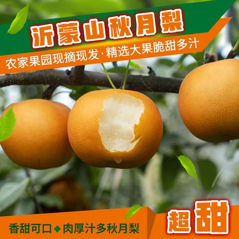 【实力商家】精品秋月梨口感脆甜多汁现摘现发代发全国