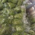 【泡菜】腌制辣椒泡椒腌制杭椒腌制青阳出口辣椒酸甜口味