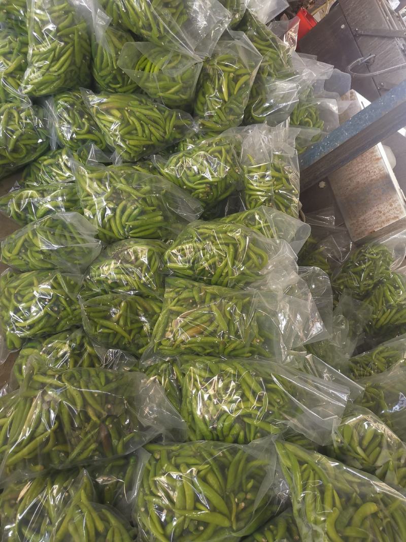 【泡菜】腌制辣椒泡椒腌制杭椒腌制青阳出口辣椒酸甜口味