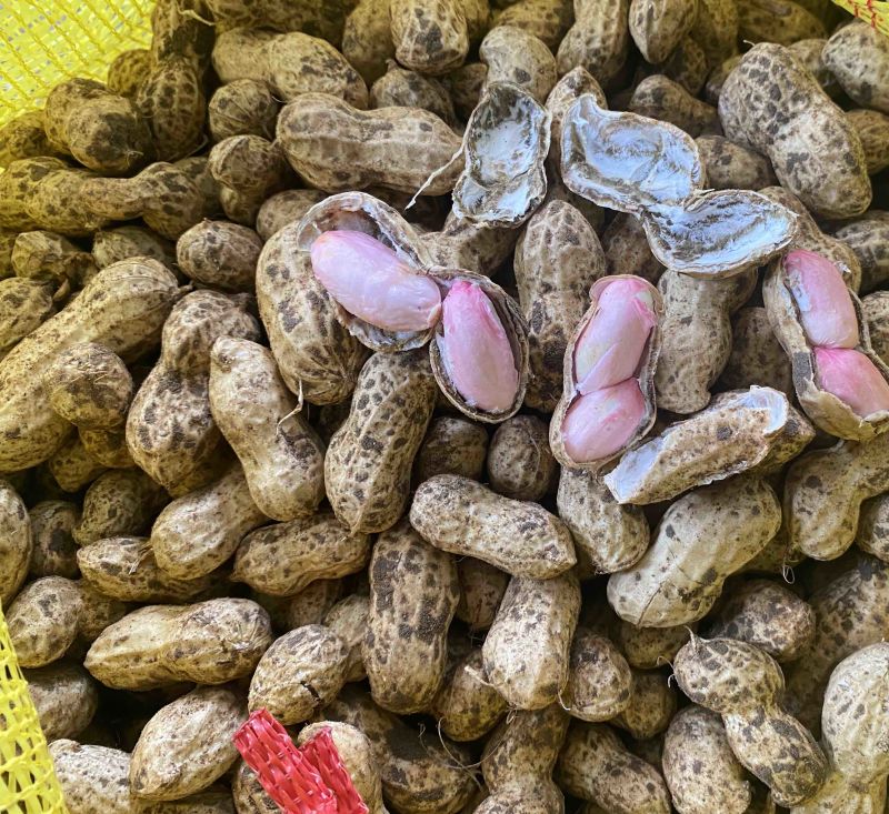 鲜花生🥜过筛，人工挑选，产地自发，量大从优