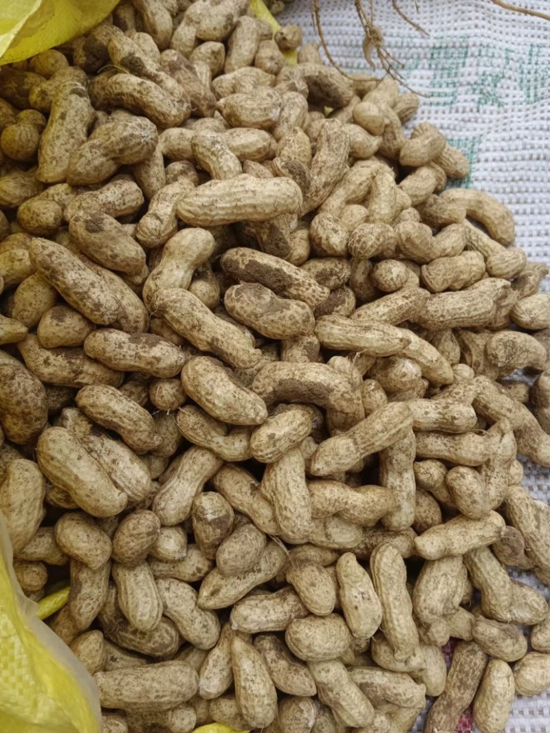 鲜花生🥜过筛，人工挑选，产地自发，量大从优