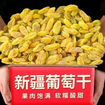新疆吐鲁番黄葡萄干产地发货量大优惠一手货源