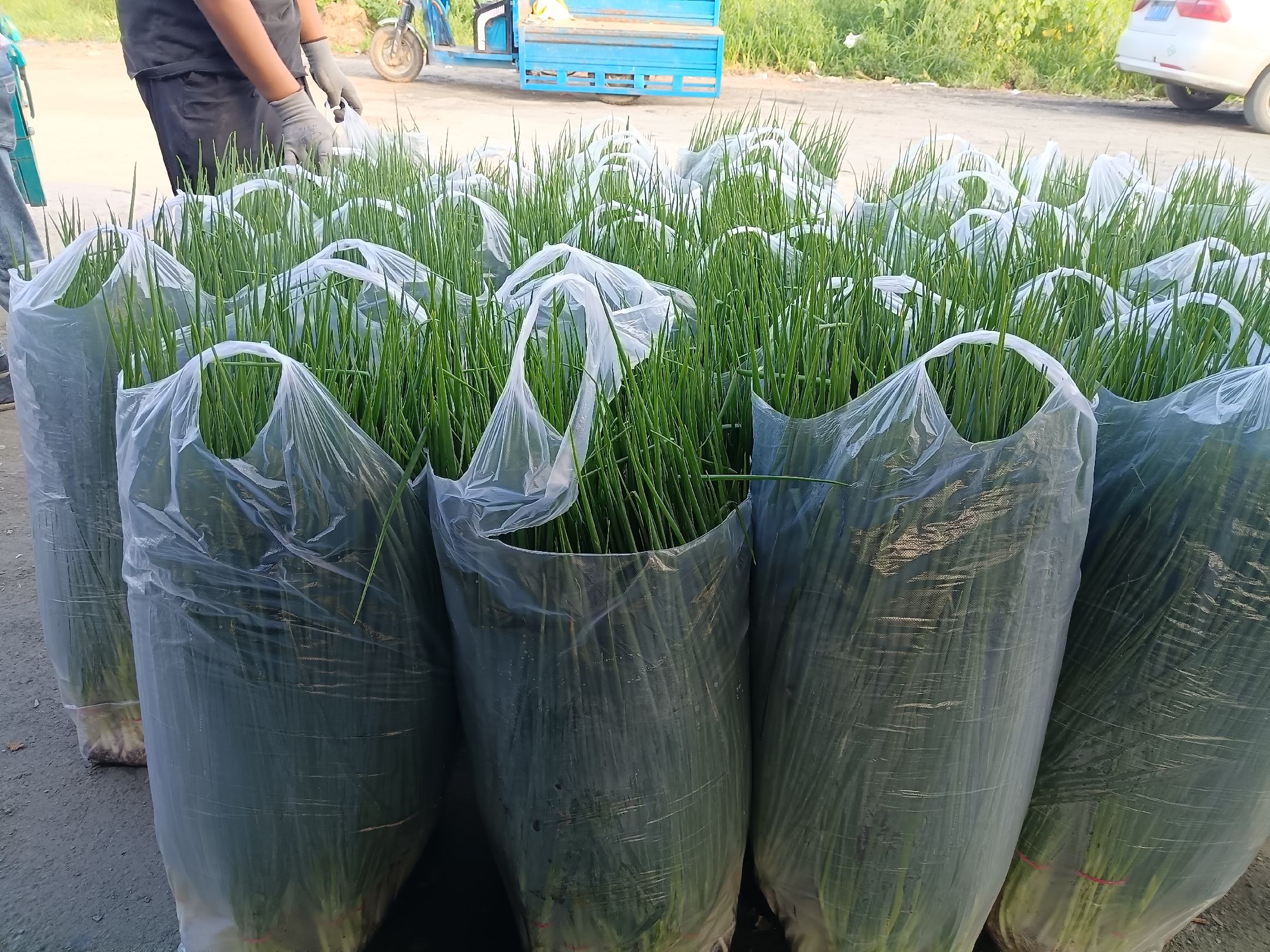 新小洋葱电商打包发货现场