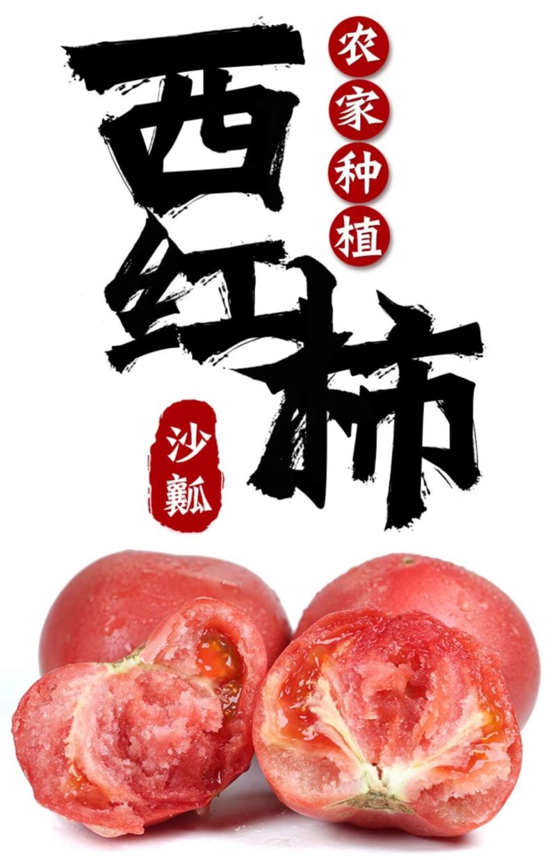 【精选】山西粉红西红柿口感沙甜沙瓢多汁大量上市