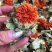 红花朵甘肃红花朵云南新货草红花干度好红花头不抽花丝