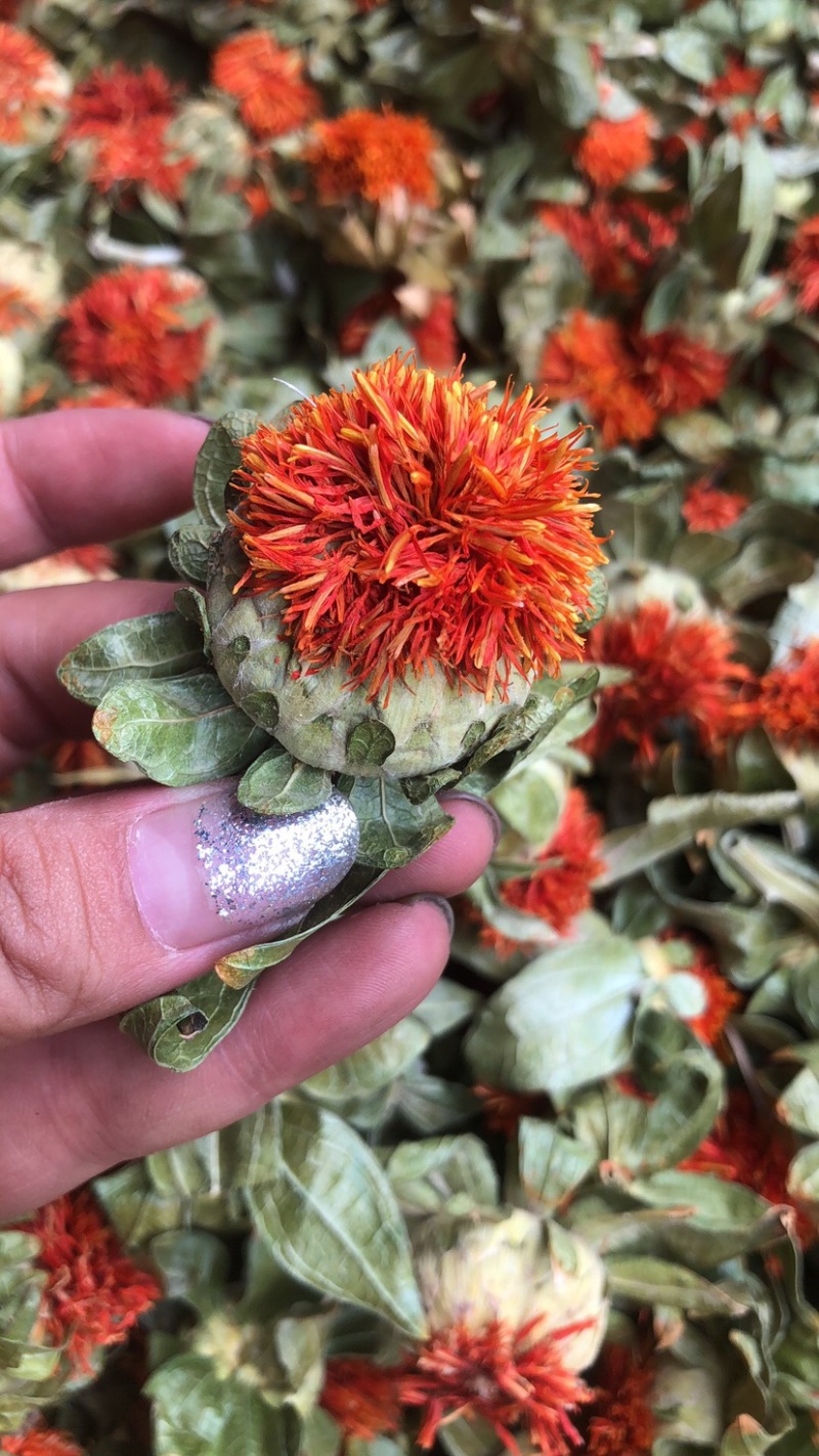 红花朵甘肃红花朵云南新货草红花干度好红花头不抽花丝