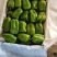 （热销）新乐市产地直发精品大棚种植太空椒