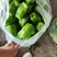 （热销）新乐市产地直发精品大棚种植太空椒