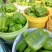 （热销）新乐市产地直发精品大棚种植太空椒