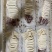 粉丝鱿鱼半成品预制菜食材免处理酒店宴席批发现货价格可议