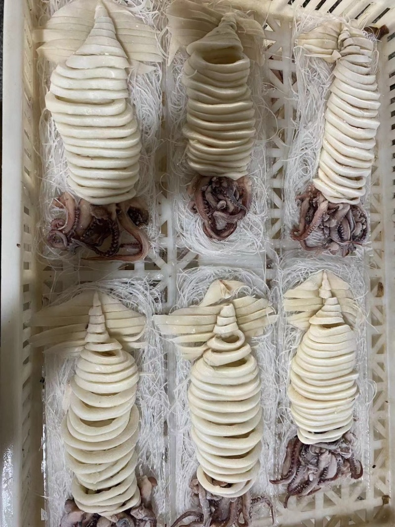 粉丝鱿鱼半成品预制菜食材免处理酒店宴席批发现货价格可议