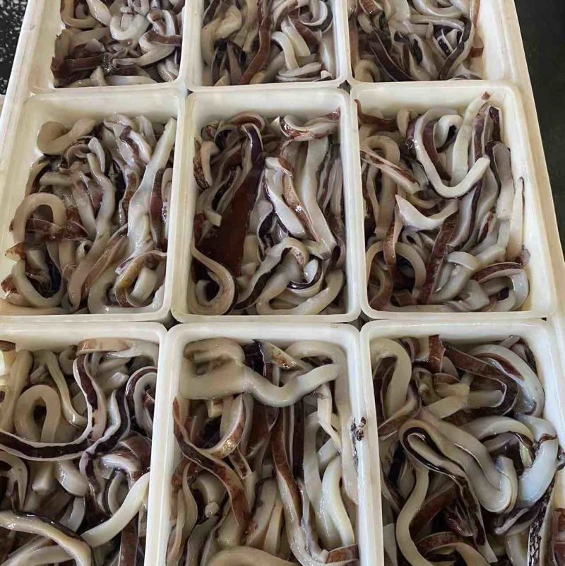 鱿鱼条精品耳条小飞燕大量现货常年供应食堂快餐餐饮火锅