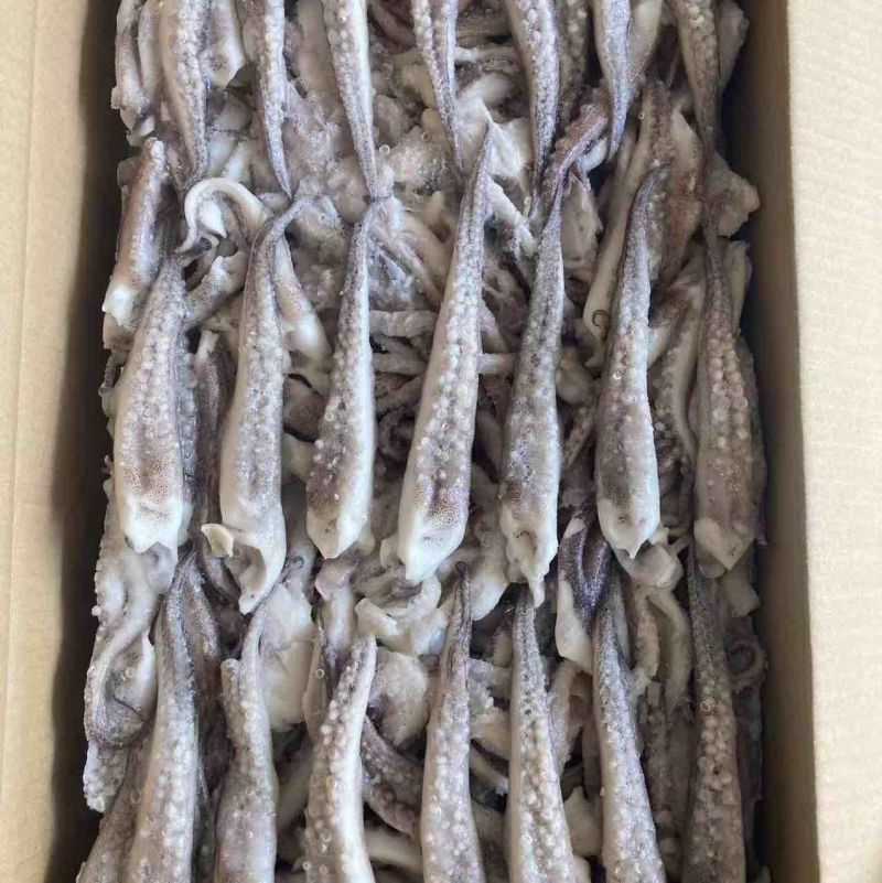 高品二本足鱿鱼须做工精细口感脆品质保证精品原料现货
