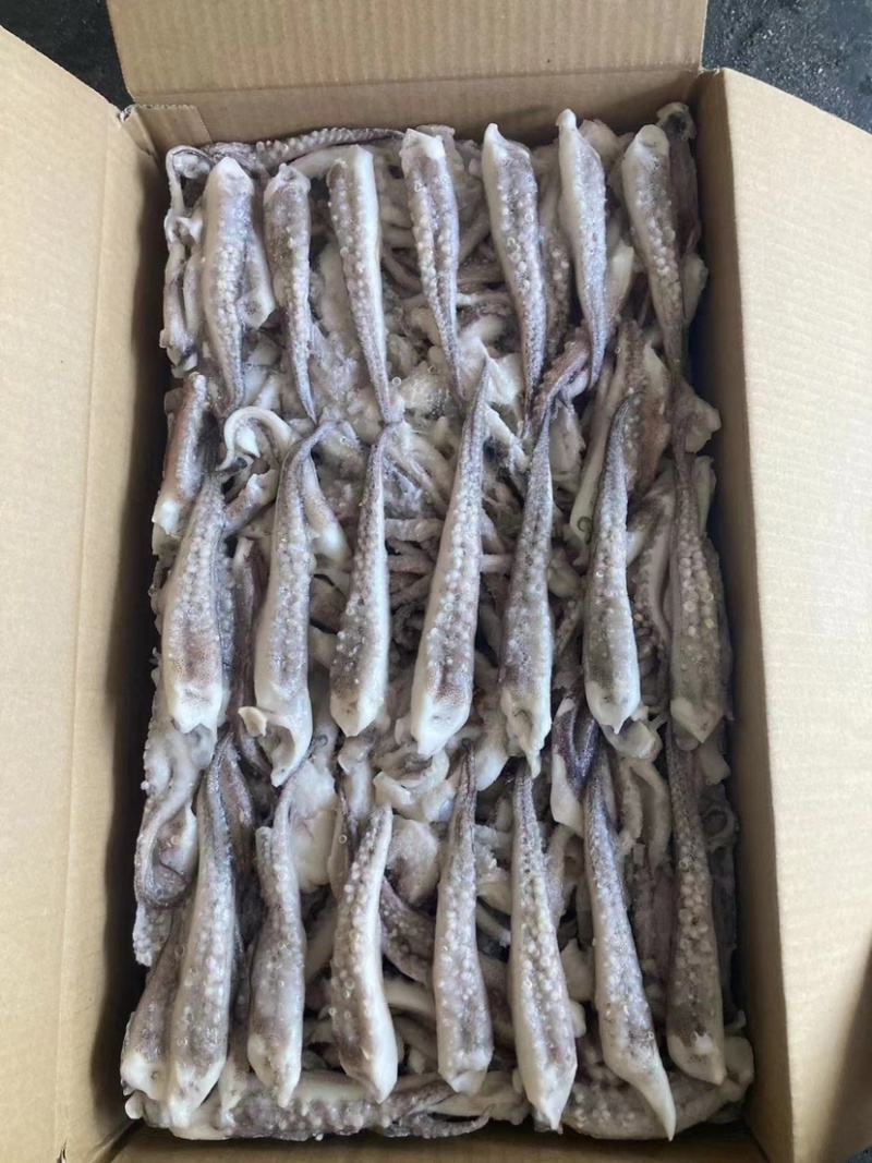 高品二本足鱿鱼须做工精细口感脆品质保证精品原料现货