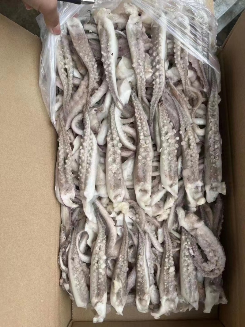 高品二本足鱿鱼须做工精细口感脆品质保证精品原料现货