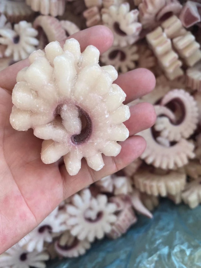 齿轮花精品鱿鱼齿轮花脆脆卷鱿鱼圈厂家发货可做出口