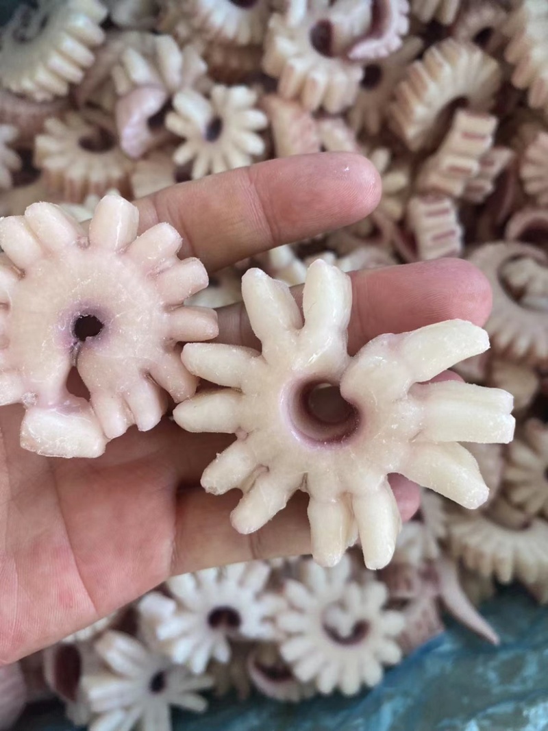 齿轮花精品鱿鱼齿轮花脆脆卷鱿鱼圈厂家发货可做出口