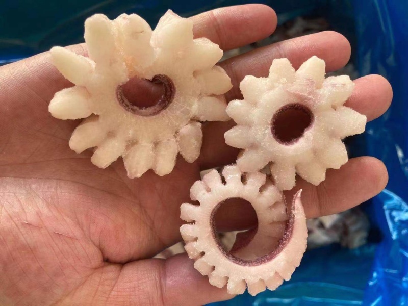 齿轮花精品鱿鱼齿轮花脆脆卷鱿鱼圈厂家发货可做出口