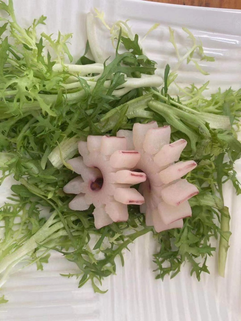 齿轮花精品鱿鱼齿轮花脆脆卷鱿鱼圈厂家发货可做出口