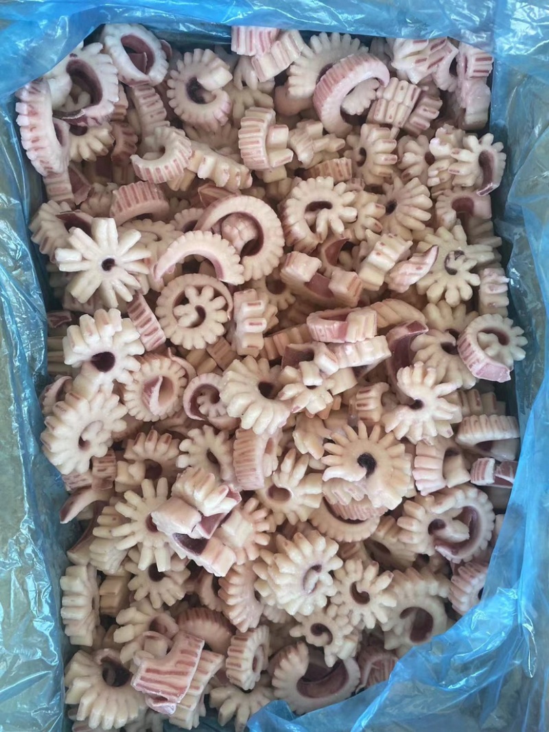 齿轮花精品鱿鱼齿轮花脆脆卷鱿鱼圈厂家发货可做出口