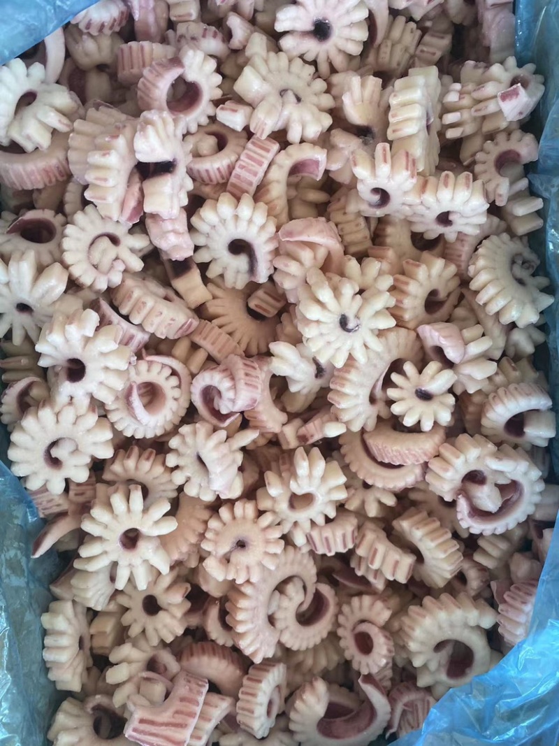 齿轮花精品鱿鱼齿轮花脆脆卷鱿鱼圈厂家发货可做出口