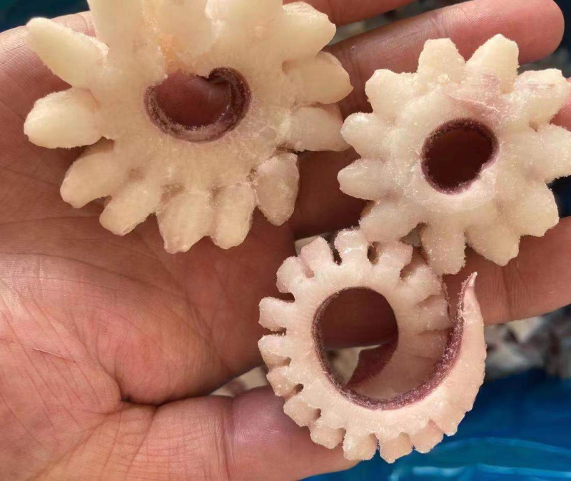 齿轮花精品鱿鱼齿轮花脆脆卷鱿鱼圈厂家发货可做出口