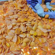 芒果块厂家常年供应资质齐全各种包装量大优惠