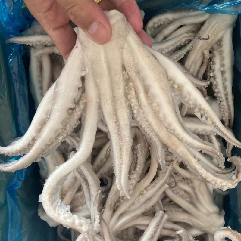 单冻头鱿鱼加工定做品质好口感佳常年有货全国发货价格低