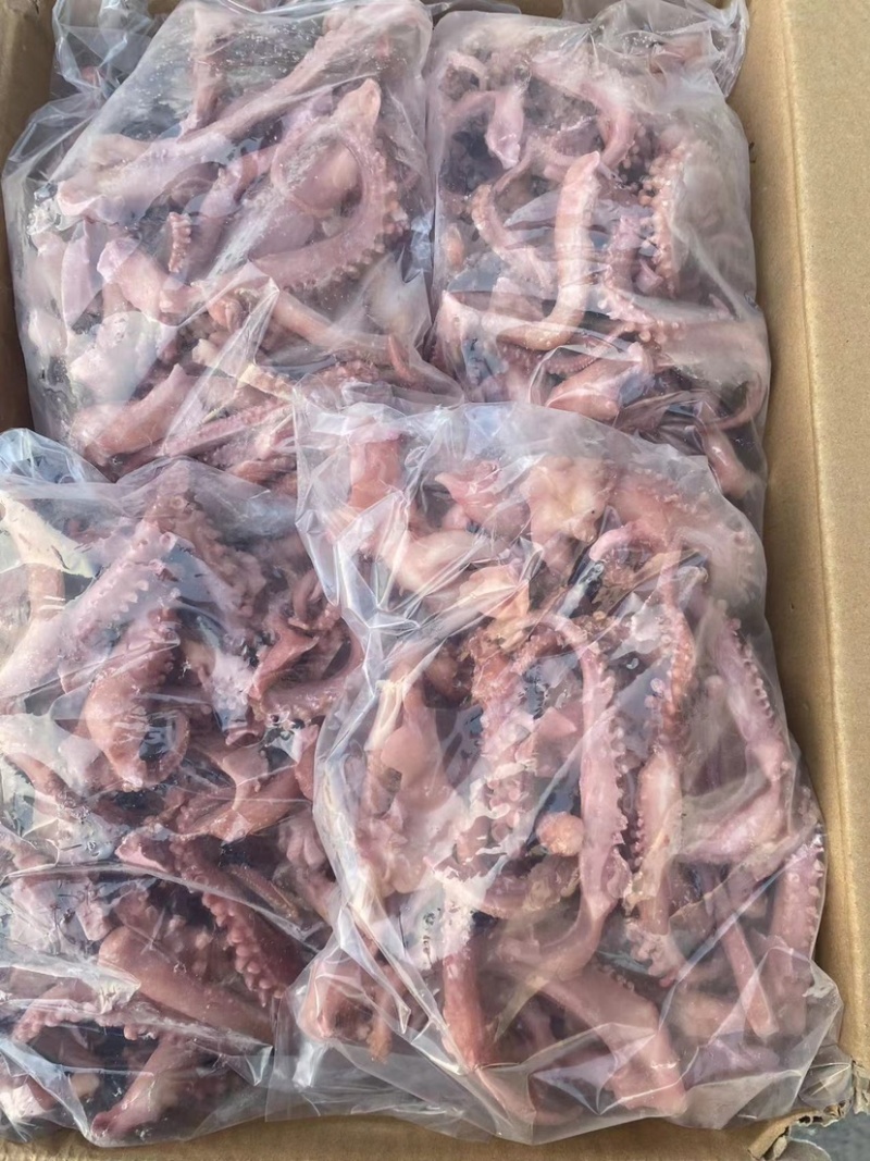 脆口须鱿鱼口感好质量佳一手货源诚招代理商全国发货