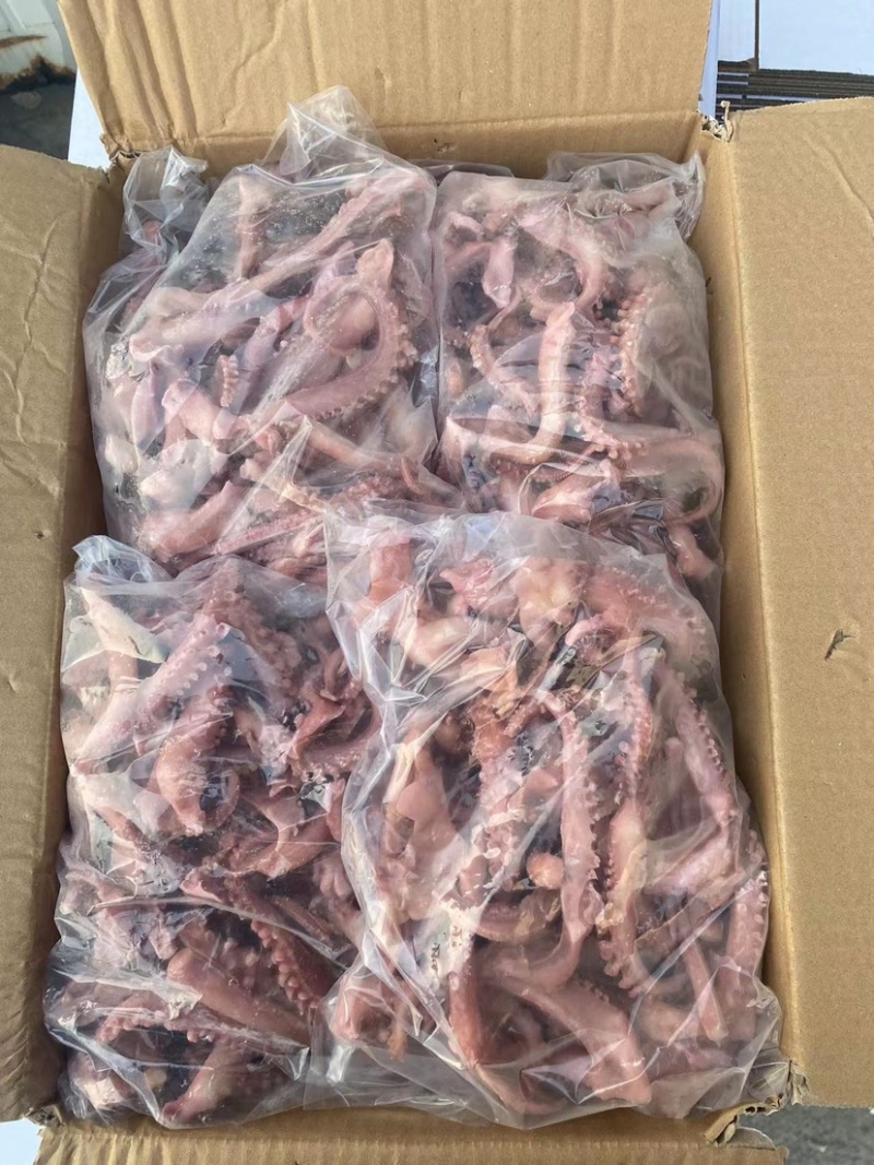 脆口须鱿鱼口感好质量佳一手货源诚招代理商全国发货