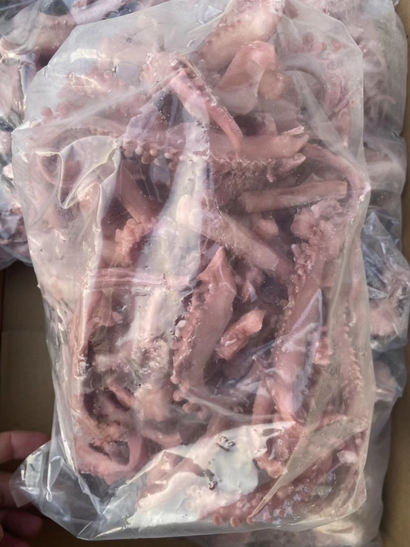 脆口须鱿鱼口感好质量佳一手货源诚招代理商全国发货