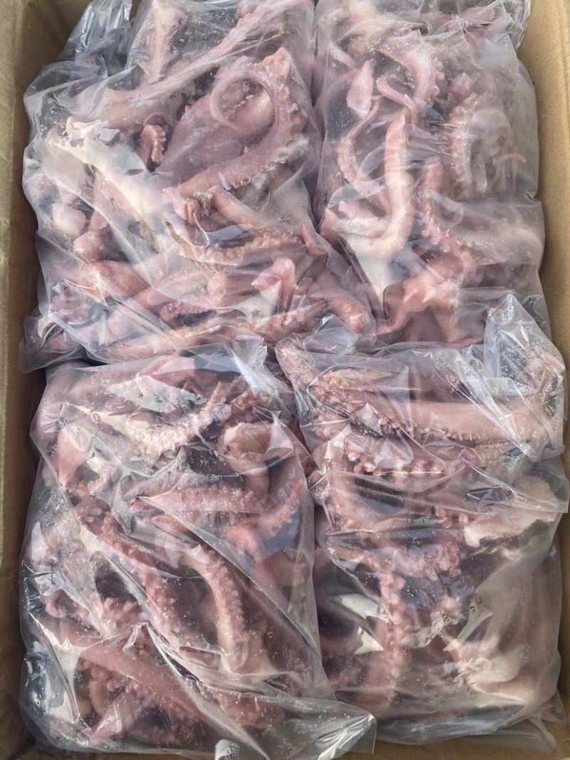 脆口须鱿鱼口感好质量佳一手货源诚招代理商全国发货