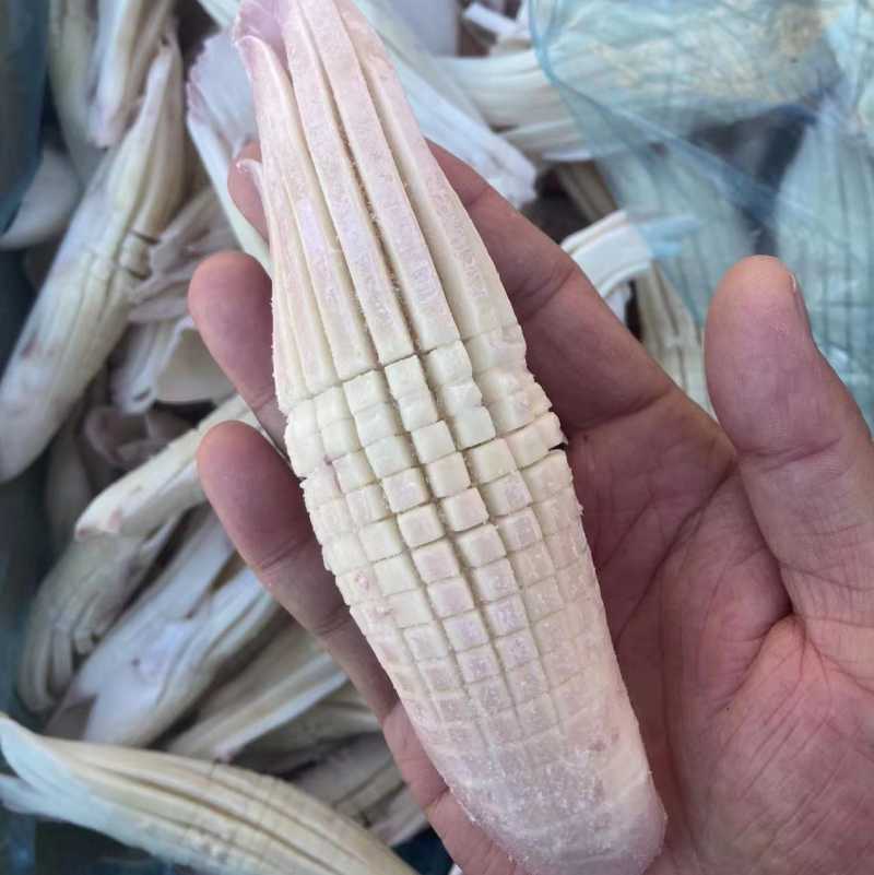 火箭鱿鱼新鲜超大鱿鱼即食即熟现货供应货源充足
