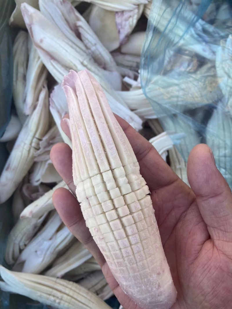 火箭鱿鱼新鲜超大鱿鱼即食即熟现货供应货源充足