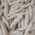 火箭鱿鱼新鲜超大鱿鱼即食即熟现货供应货源充足