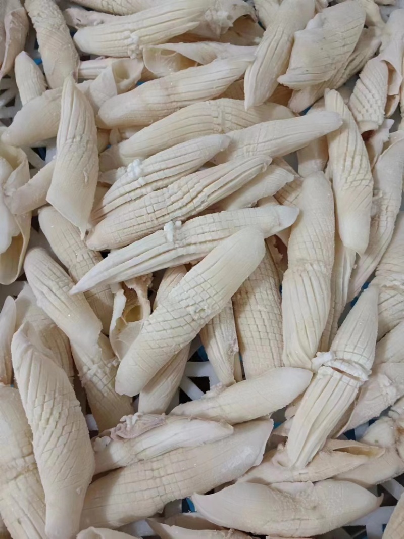 火箭鱿鱼新鲜超大鱿鱼即食即熟现货供应货源充足
