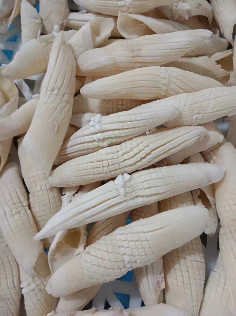 火箭鱿鱼新鲜超大鱿鱼即食即熟现货供应货源充足