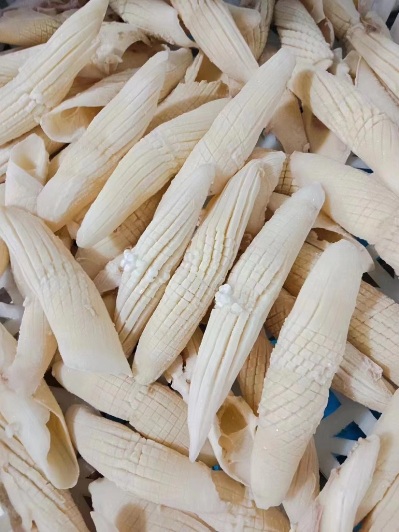 火箭鱿鱼新鲜超大鱿鱼即食即熟现货供应货源充足