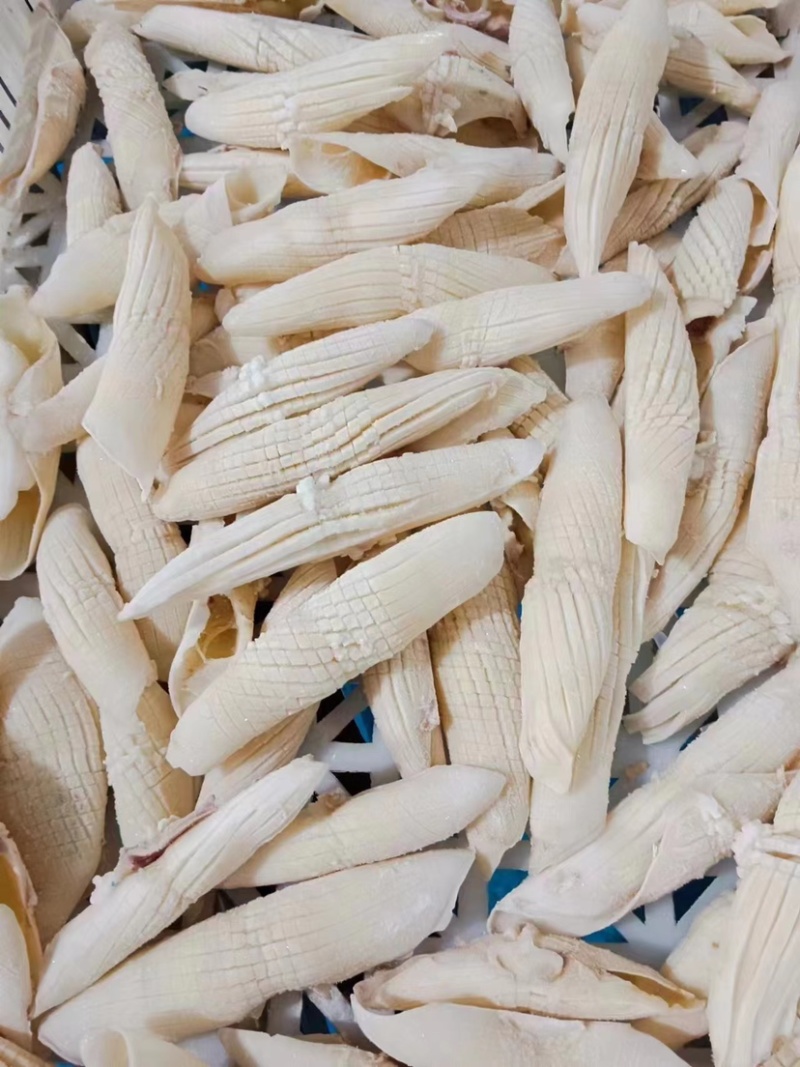 火箭鱿鱼新鲜超大鱿鱼即食即熟现货供应货源充足