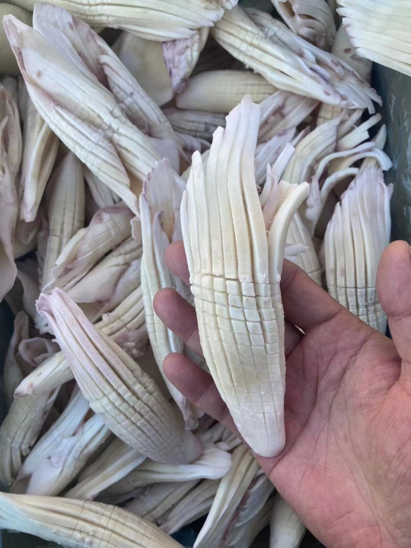 火箭鱿鱼新鲜超大鱿鱼即食即熟现货供应货源充足