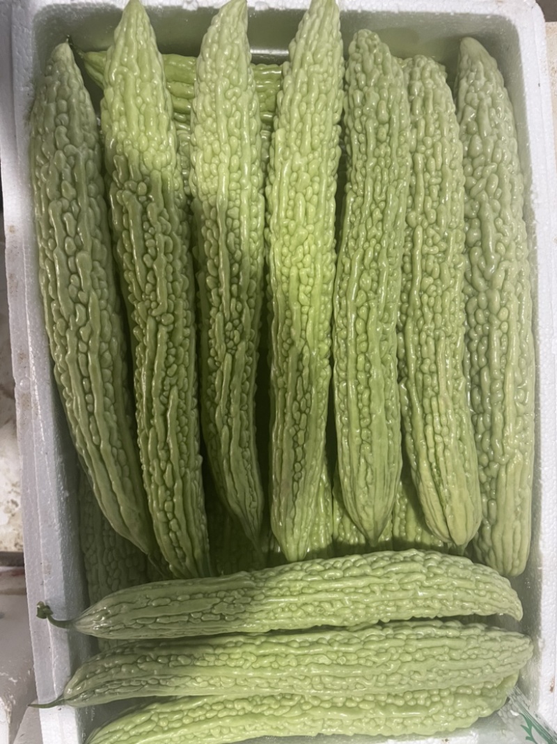产地直销，精品油绿色瓜，精品白色油瓜，货量