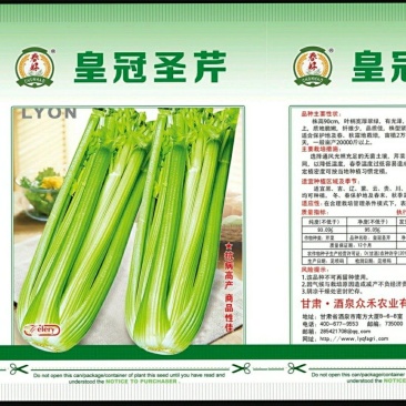 耐寒实心皇冠西芹，抗病性突出，产量温度，基地直供。
