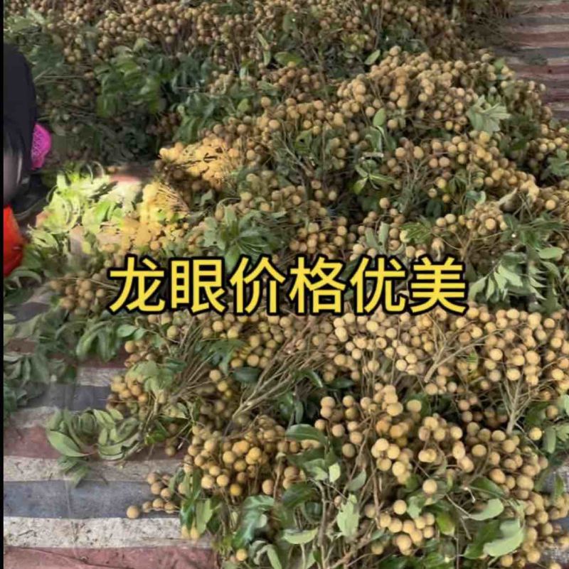 龙眼储良石硖，欢迎随时联系