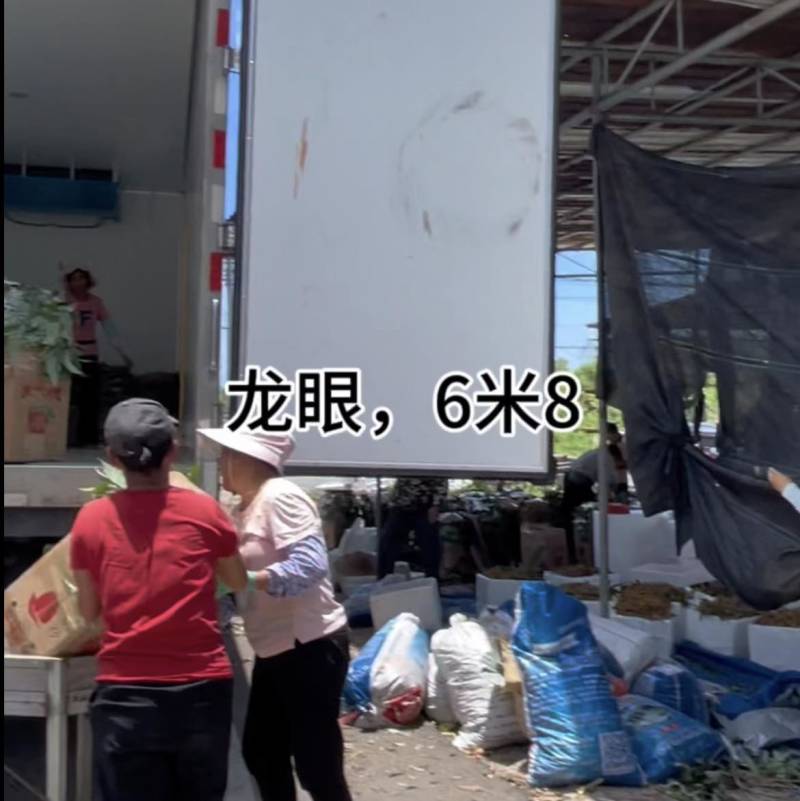 龙眼储良石硖，欢迎随时联系