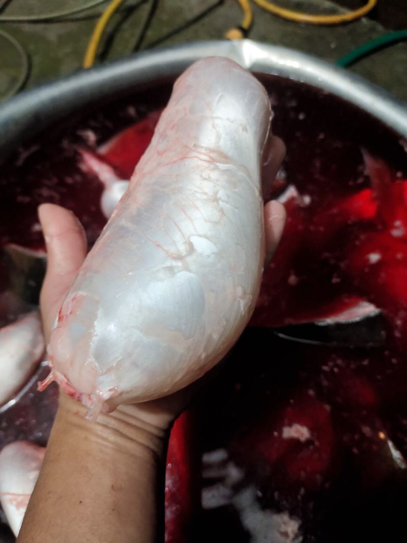 大量出售农家才火烟熏鱼干