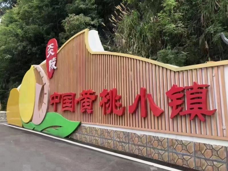 炎陵黄桃产地直发量大从优欢迎随时咨询！