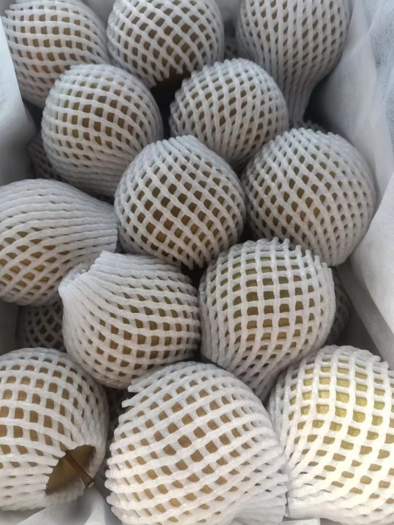 圆黄梨