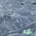 花鲢鱼鲢鱼四川鲢鱼江苏鲢鱼浙江鲢鱼产地直发