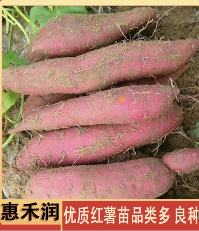 西瓜红